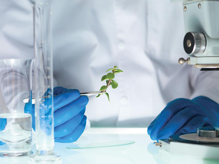 A scientist wearing blue gloves holds a small green plant with tweezers. The scene includes laboratory equipment such as a microscope, a test tube, and a beaker placed on a white workbench in a brightly lit lab environment.
