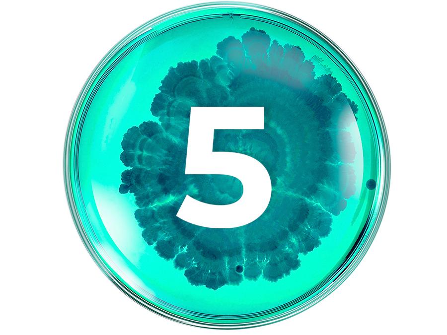 5-things-probiotics-do-for-your-skin A petri dish filled with a teal-colored substance and intricate dark teal patterns has a large white number 5 printed in the center. The design is vibrant and visually striking.