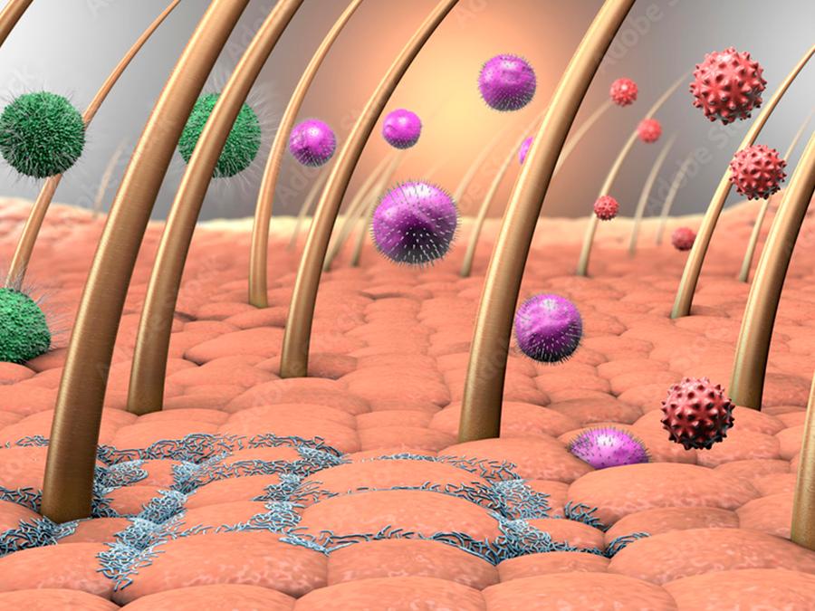 Illustration of microscopic view of skin with hair follicles. Various colored particles represent bacteria and viruses interacting with the surface. The image showcases the complexity of skin at a cellular level.