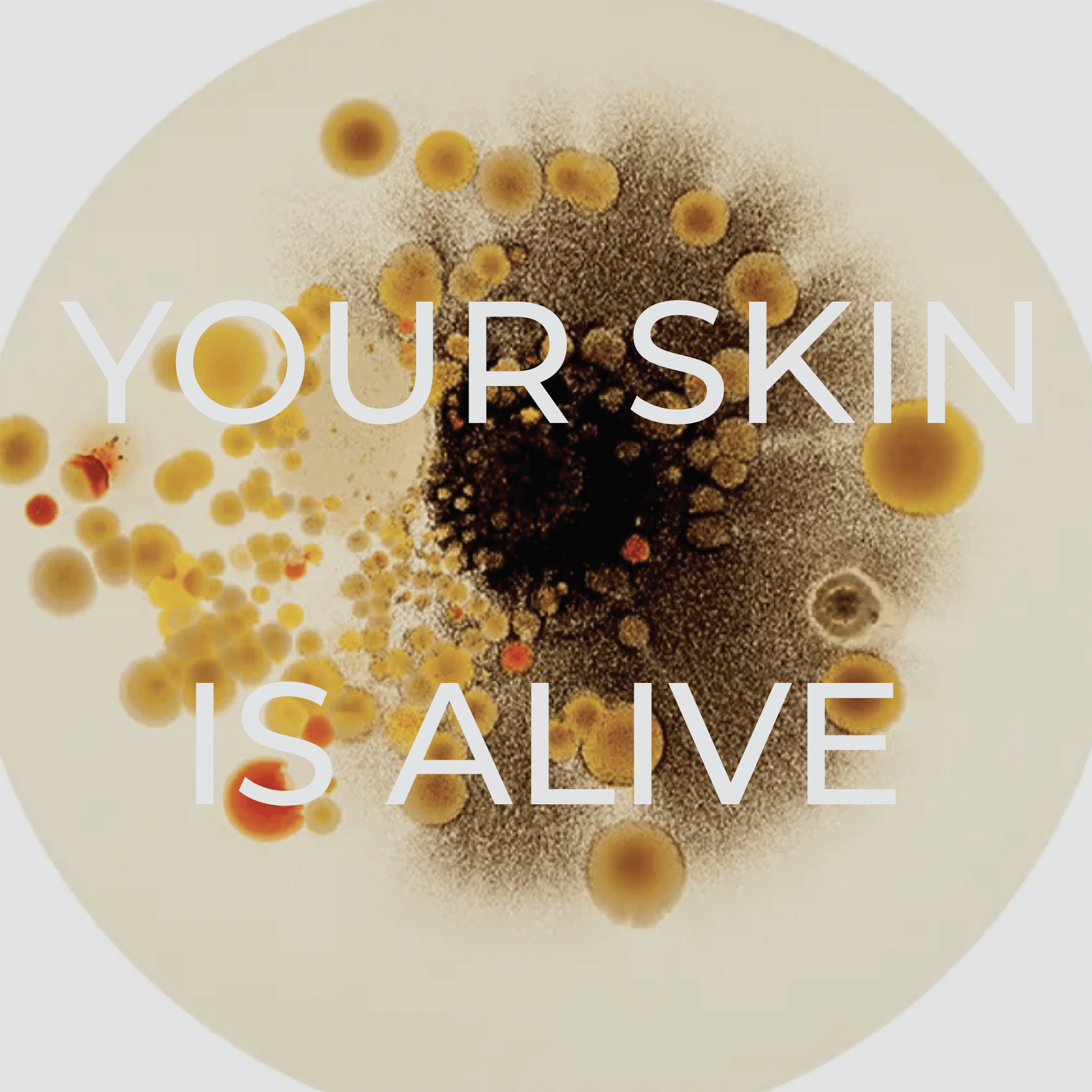 Petri dish with diverse bacteria colonies in yellow, brown, and black, forming circular patterns. Text overlaid reads, "YOUR SKIN IS ALIVE.